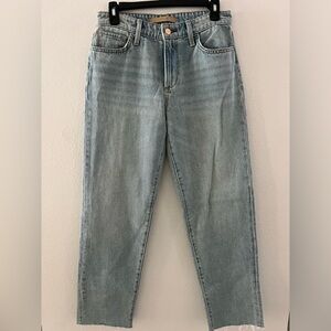 Joes Jeans
